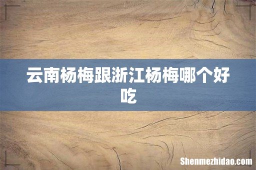 云南杨梅跟浙江杨梅哪个好吃