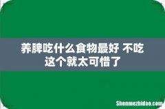 养脾吃什么食物最好 不吃这个就太可惜了