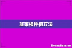 韭菜根种植方法
