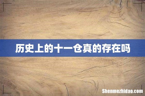 历史上的十一仓真的存在吗