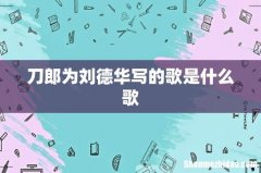 刀郎为刘德华写的歌是什么歌