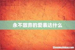 永不放弃的爱表达什么