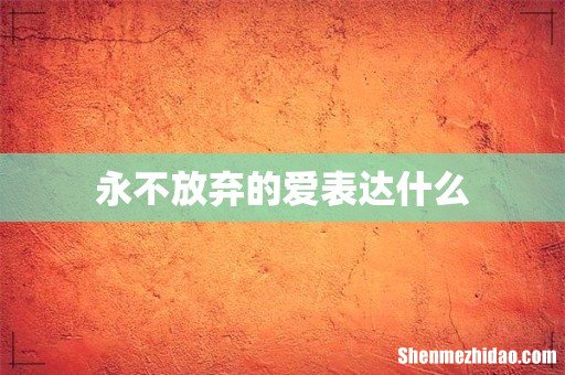 永不放弃的爱表达什么