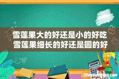 雪莲果大的好还是小的好吃 雪莲果细长的好还是圆的好