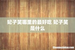 妃子笑哪里的最好吃 妃子笑是什么