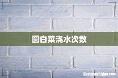 圆白菜浇水次数