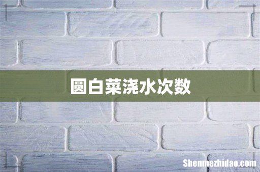 圆白菜浇水次数