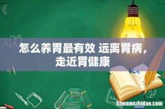 怎么养胃最有效 远离胃病，走近胃健康