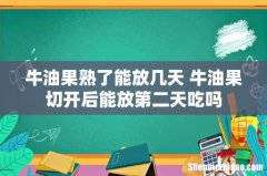 牛油果熟了能放几天 牛油果切开后能放第二天吃吗