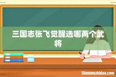 三国志张飞觉醒选哪两个武将