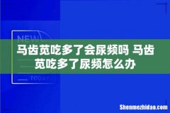 马齿苋吃多了会尿频吗 马齿苋吃多了尿频怎么办