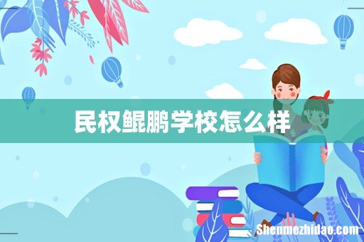 民权鲲鹏学校怎么样
