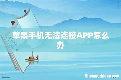 苹果手机无法连接APP怎么办