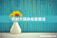 农村大锅杂烩菜做法