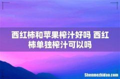 西红柿和苹果榨汁好吗 西红柿单独榨汁可以吗
