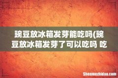 豌豆放冰箱发芽了可以吃吗 吃豌豆肚子会胀气吗 豌豆放冰箱发芽能吃吗