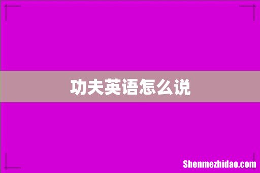 功夫英语怎么说