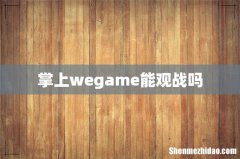 掌上wegame能观战吗