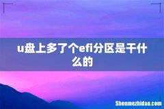 u盘上多了个efi分区是干什么的
