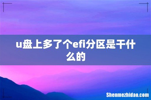 u盘上多了个efi分区是干什么的
