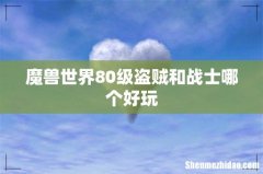 魔兽世界80级盗贼和战士哪个好玩