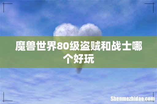 魔兽世界80级盗贼和战士哪个好玩