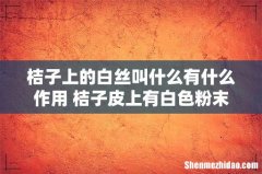 桔子上的白丝叫什么有什么作用 桔子皮上有白色粉末是什么