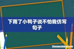 下雨了小鸭子说不怕我仿写句子