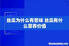 丝瓜为什么有苦味 丝瓜有什么营养价值