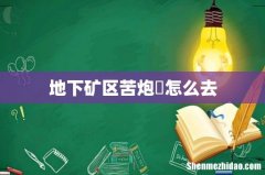 地下矿区苦炮鲀怎么去