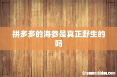 拼多多的海参是真正野生的吗