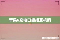 苹果6充电口能插耳机吗