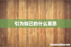 引为知己的什么意思