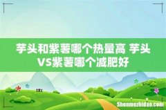 芋头和紫薯哪个热量高 芋头VS紫薯哪个减肥好