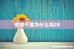 易烊千玺为什么叫28