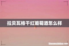 拉贝瓦格干红葡萄酒怎么样