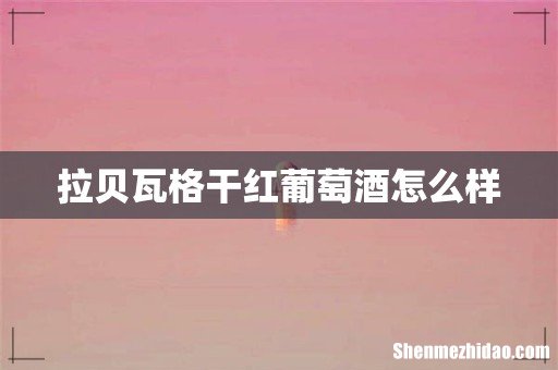 拉贝瓦格干红葡萄酒怎么样