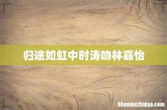 归途如虹中时涛吻林嘉怡