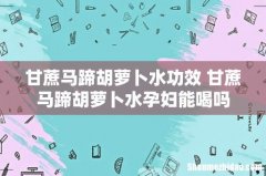甘蔗马蹄胡萝卜水功效 甘蔗马蹄胡萝卜水孕妇能喝吗