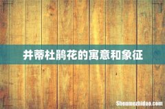 并蒂杜鹃花的寓意和象征