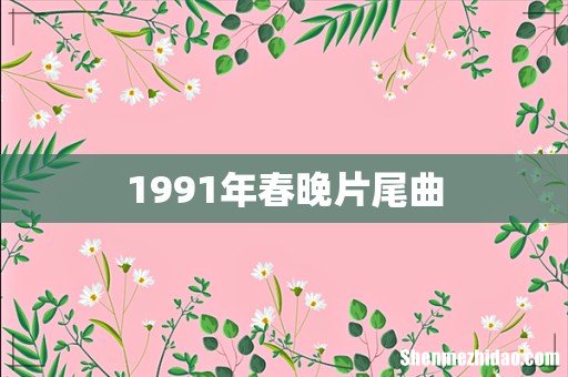 1991年春晚片尾曲