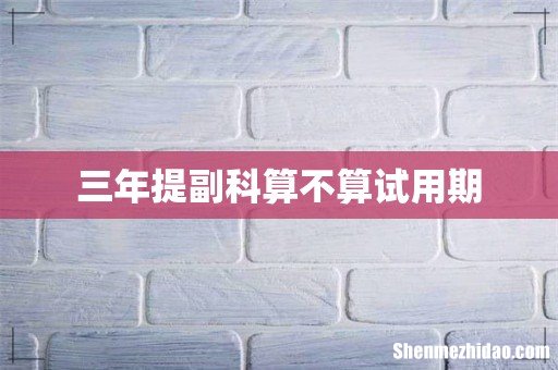 三年提副科算不算试用期