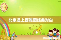 北京遇上西雅图经典对白