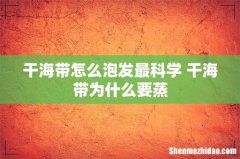 干海带怎么泡发最科学 干海带为什么要蒸