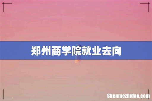 郑州商学院就业去向