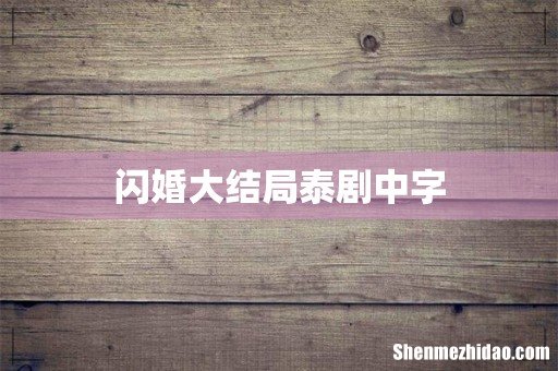 闪婚大结局泰剧中字