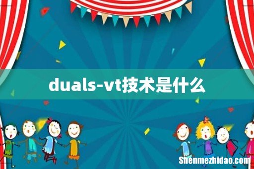duals-vt技术是什么