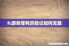 fc游戏怪鸭历险记如何无敌