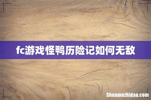 fc游戏怪鸭历险记如何无敌
