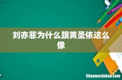 刘亦菲为什么跟黄圣依这么像